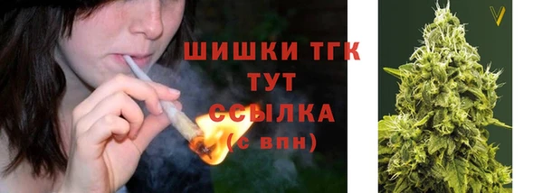 соль ск Абаза